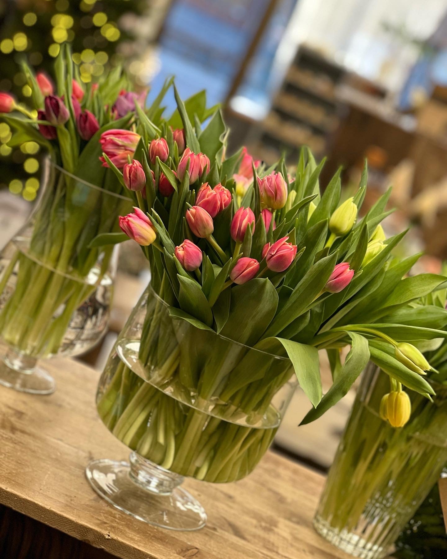 Tulip Bundle Subscription