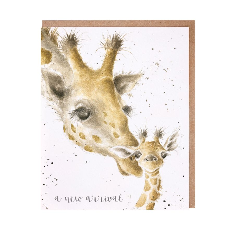 A New Arrival Giraffe