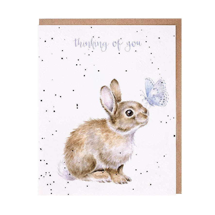 Holly Blue Rabbit