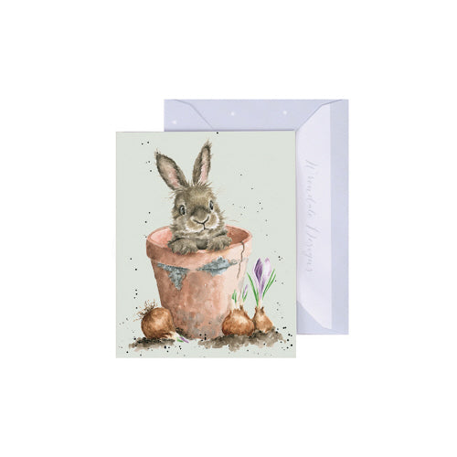 Flower Pot Bunny